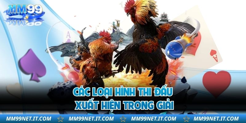 Các loại hình thi đấu xuất hiện trong giải
