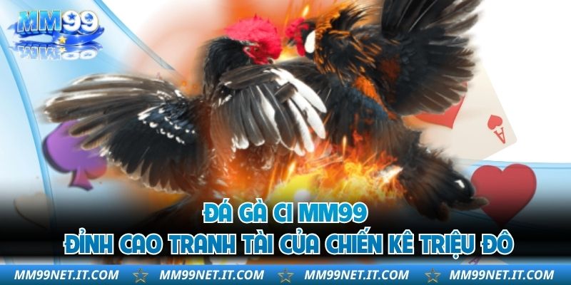 Đá Gà C1 MM99 - Đỉnh Cao Tranh Tài Của Chiến Kê Triệu Đô