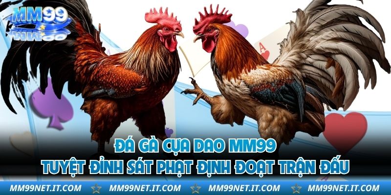 Đá Gà Cựa Dao MM99 - Tuyệt Đỉnh Sát Phạt Định Đoạt Trận Đấu