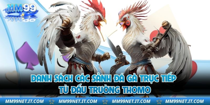 Danh sách các sảnh đá gà trực tiếp từ đấu trường Thomo