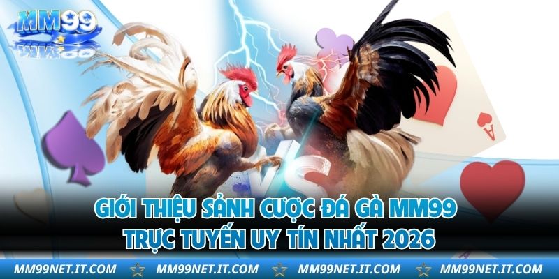 Giới thiệu sảnh cược đá gà MM99 trực tuyến uy tín nhất 2026