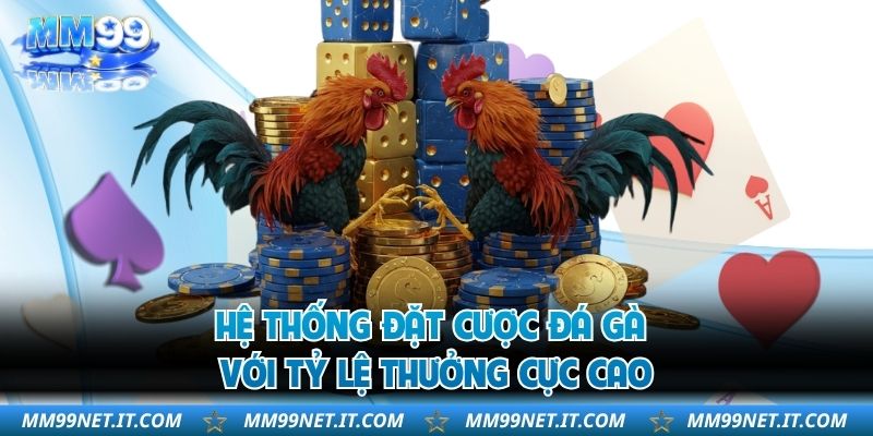 Hệ thống đặt cược đá gà với tỷ lệ thưởng cực cao