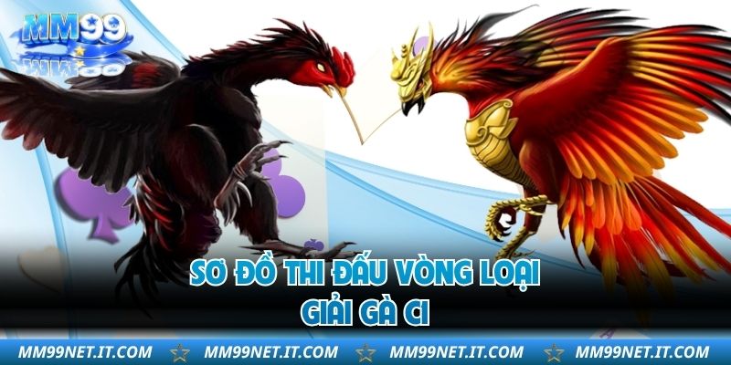 Sơ đồ thi đấu vòng loại giải gà C1