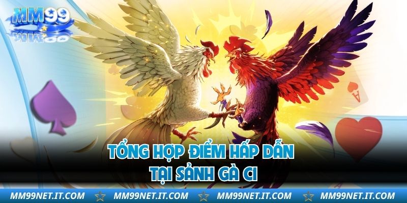Tổng hợp điểm hấp dẫn tại sảnh gà C1