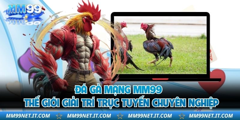 Đá Gà Mạng MM99 - Thế Giới Giải Trí Trực Tuyến Chuyên Nghiệp