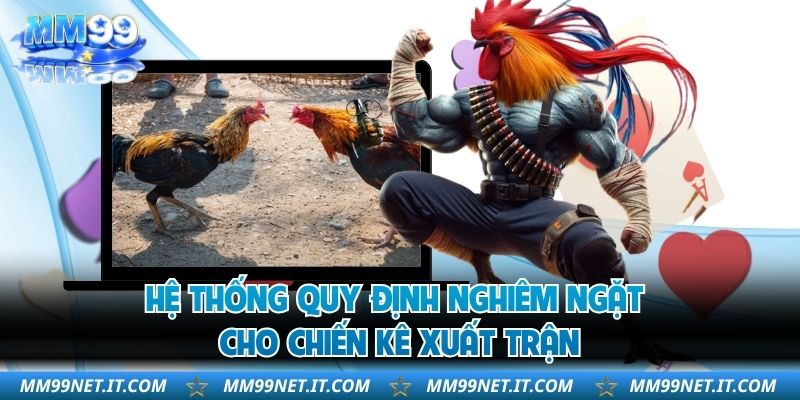 Hệ thống quy định nghiêm ngặt cho chiến kê xuất trận